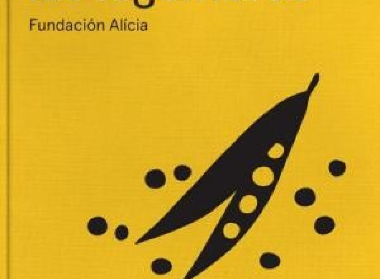 La cocina de las legumbres